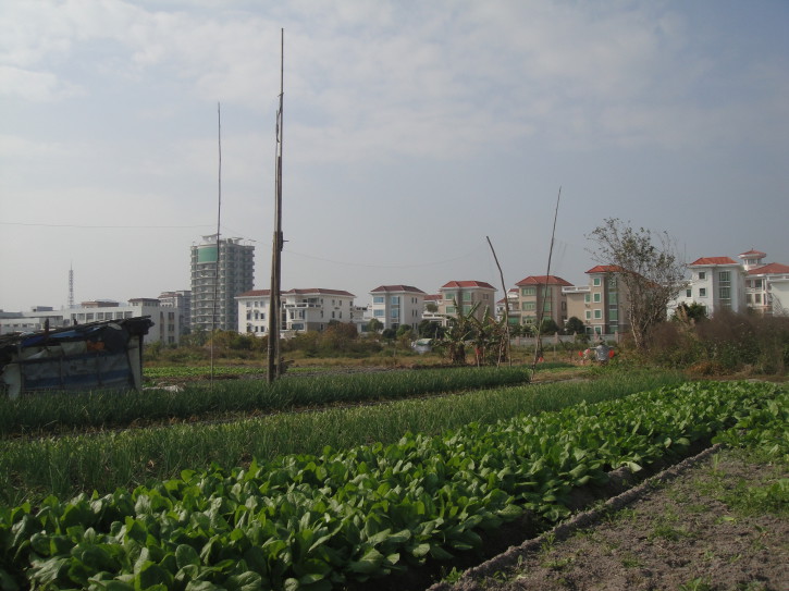 广东汕头潮阳文光街道主任带领黑社会分子武力