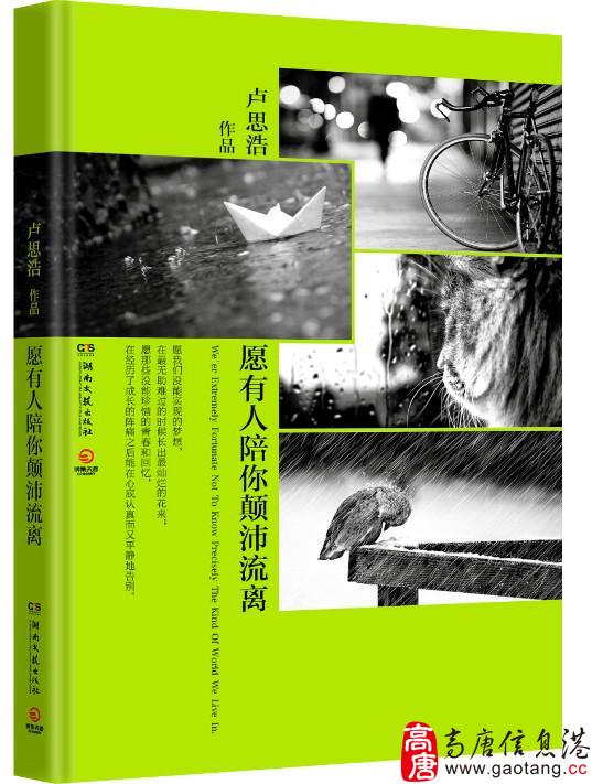 《愿有人陪你颠沛流离》写在前面的话