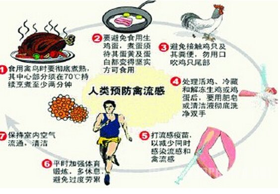 ...知识答案人感染H7N9禽流感防治知识考试题及答案（疫情防控知识培训内容）