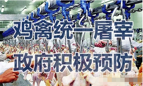 如何预防h5n6禽流感? 冬春交替禽流感风险加大