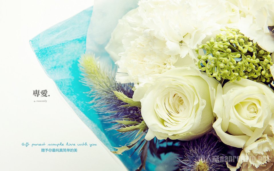 2016年创意情人节促销广告语 最是那一汪柔情