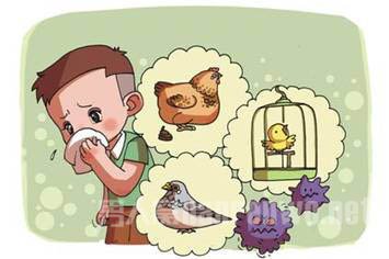 h7n9禽流感早期症状早知晓 尽早预防早点好 - 