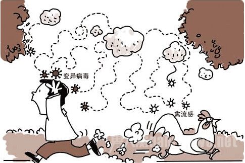 h7n9禽流感早期症状早知晓 尽早预防早点好 - 