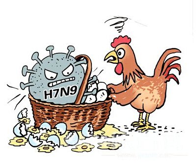 禽流感症状与感冒区别 正确了解禽流感救命才