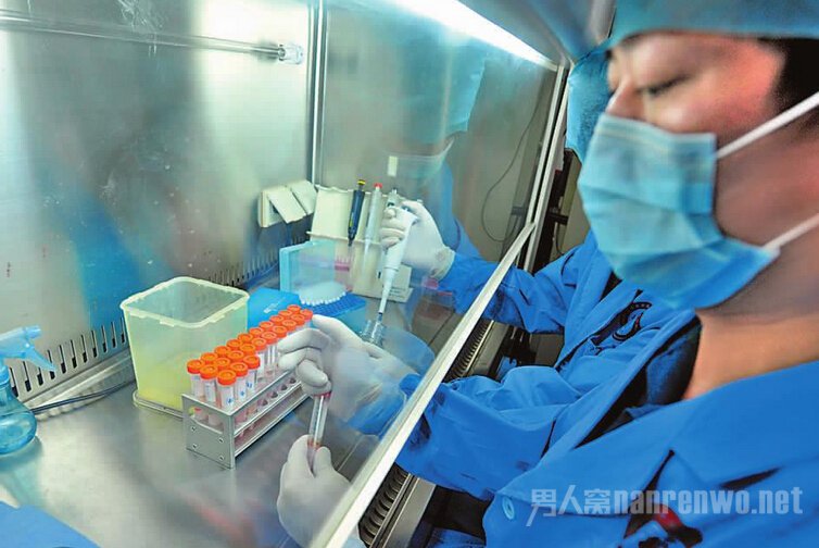 h7n9禽流感防治常识大全 早日预防远离死神 - 