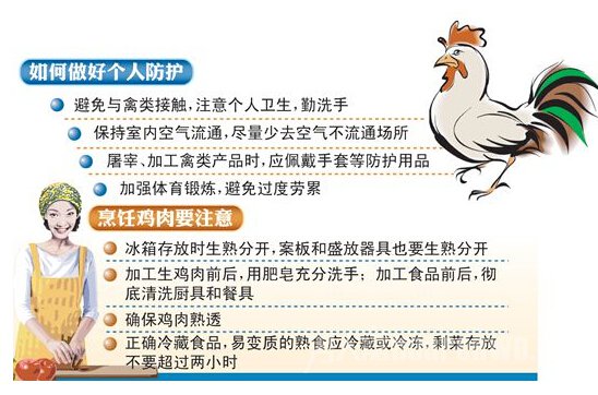 h7n9能治好吗 h7n9禽流感能吃猪肉和鸡肉吗 -