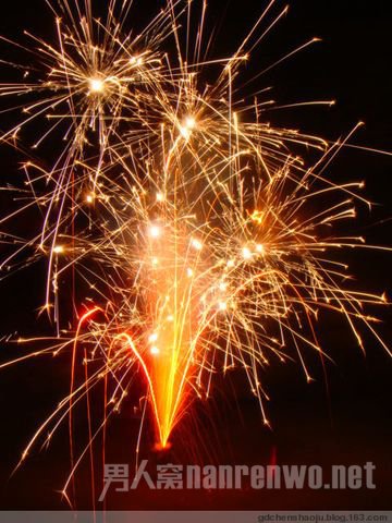 2016放烟花作文欣赏 感受春节的喜庆气氛
