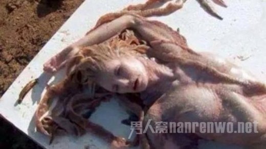 澳洲海滩惊现美人鱼:人身鱼尾有血有肉!