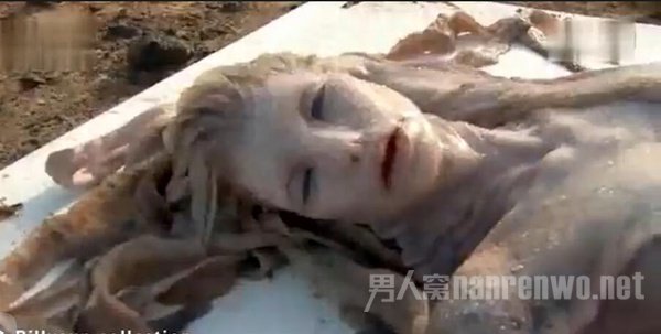 澳洲海滩惊现美人鱼:人身鱼尾有血有肉! - 高唐