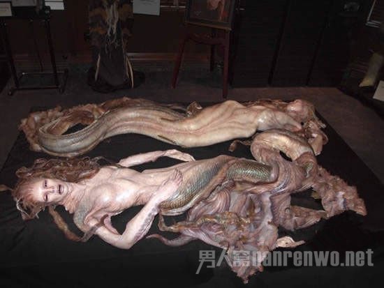 这条"美人鱼"