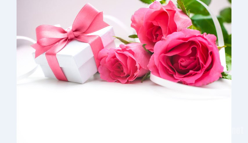 三八妇女节送什么花给女性同胞? 女性追求平等