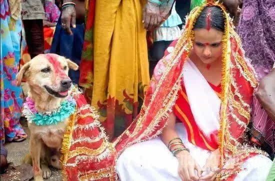 惨无人道的印度童婚习俗 女性地位不如狗 - 高