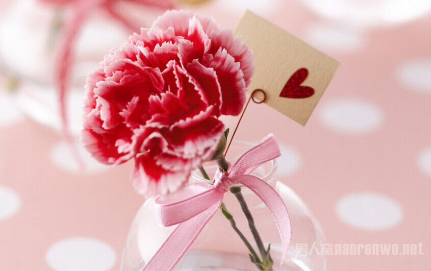 三八妇女节送老师什么礼物? 感谢老师对你的教
