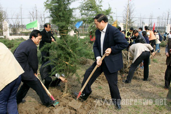 2016年植树节活动方案:为创建绿色生活添助力