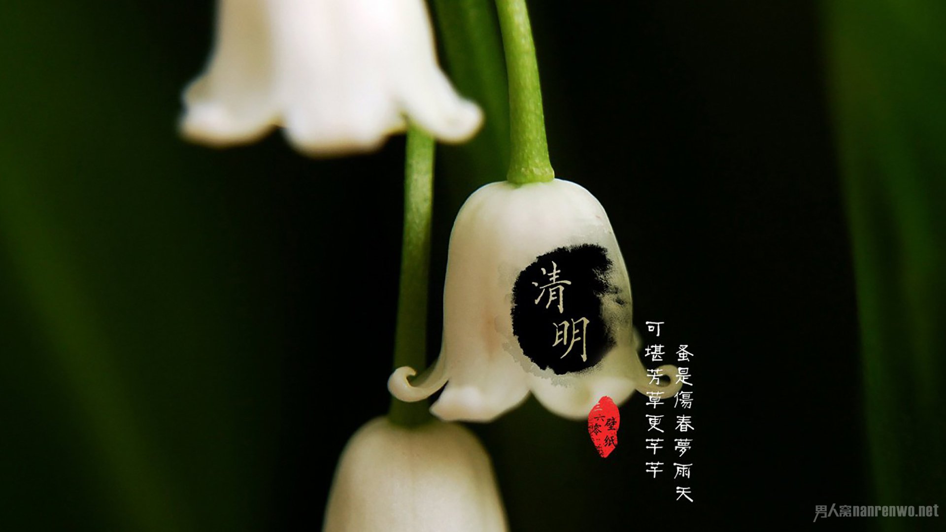 清明节缅怀先烈诗歌鉴赏 这是中华儿女共有的