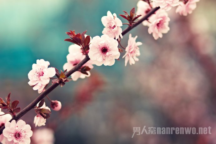 2016年最新清明节寄语大全缅怀先烈们不屈的