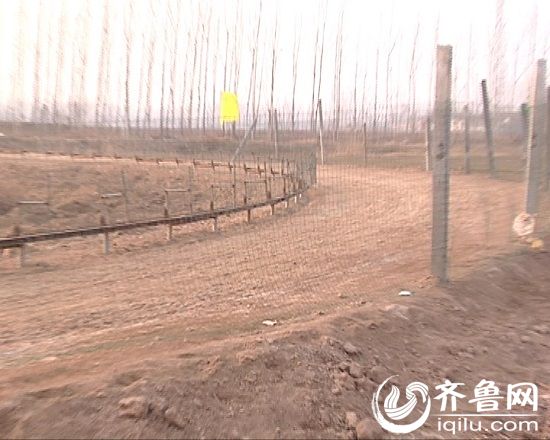 图片 查处 杨洪亮