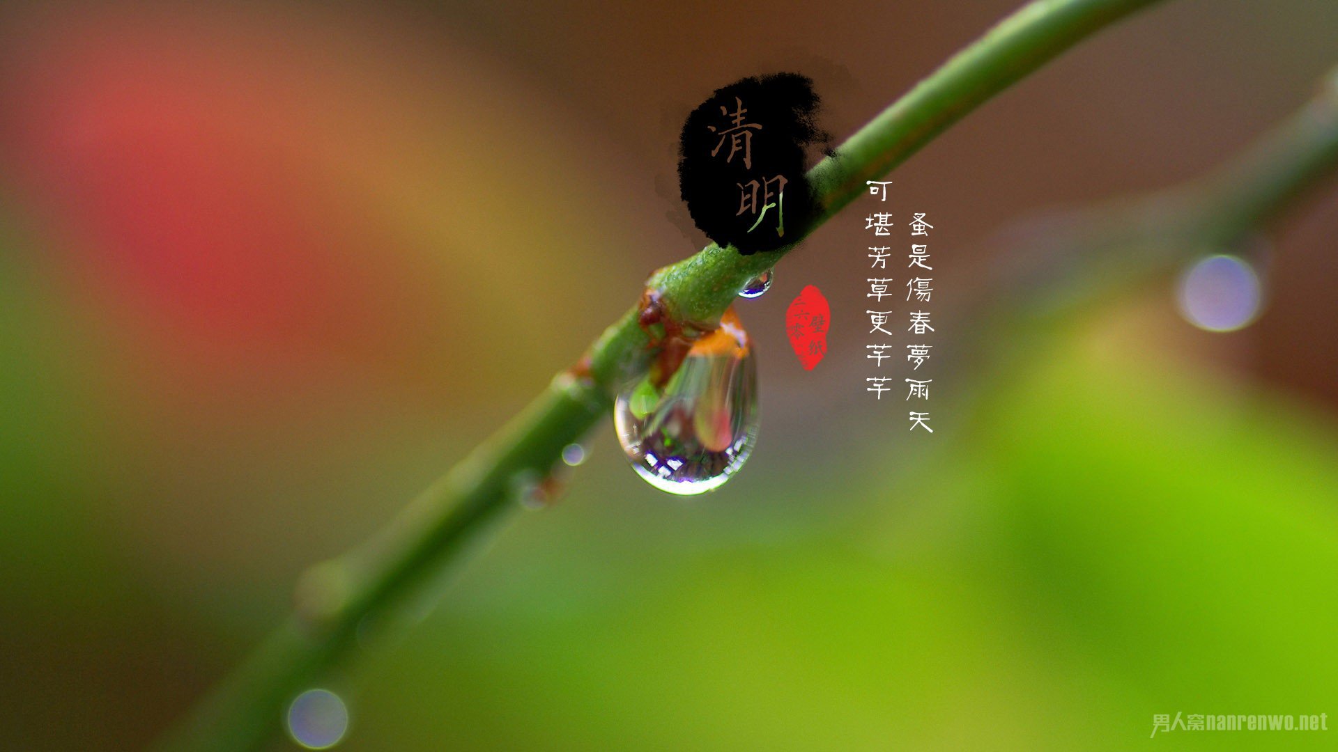 尖角小荷 清明 www.52shici.com 诗词吾爱网