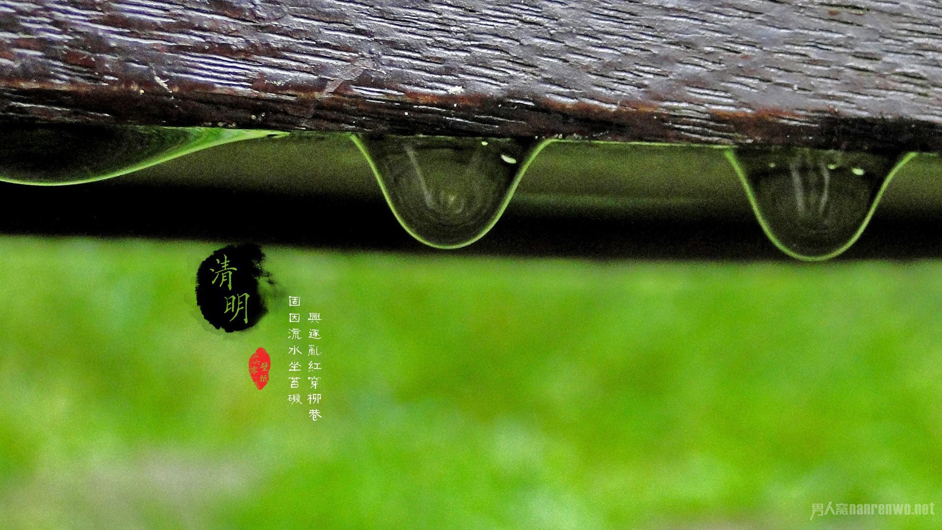 清明节有什么意义